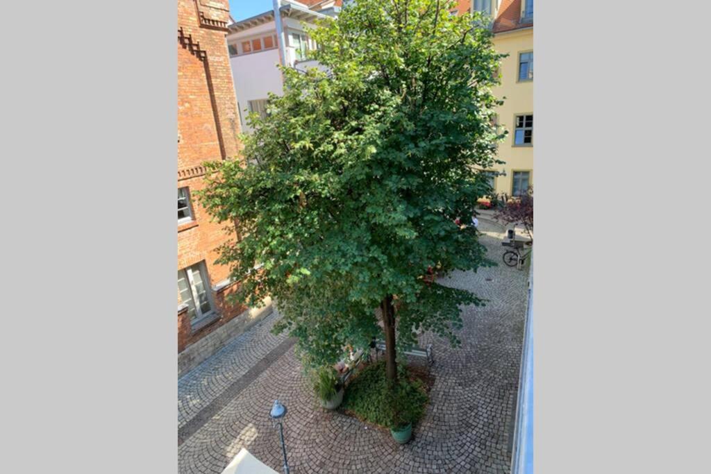 Altstadt, Fewo Im Markthof Am Dom Erfurt Esterno foto
